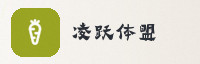 合作伙伴